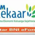 Penerima BPUM PNM Mekaar BNI Diduga Jadi Korban Pungli
