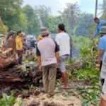 Pohon Tumbang, Jalan Raya Dungkek-Sumenep Macet