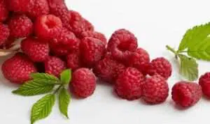 Raspberry, Buah Mungil Yang Simpan Banyak Manfaat Untuk Tubuh