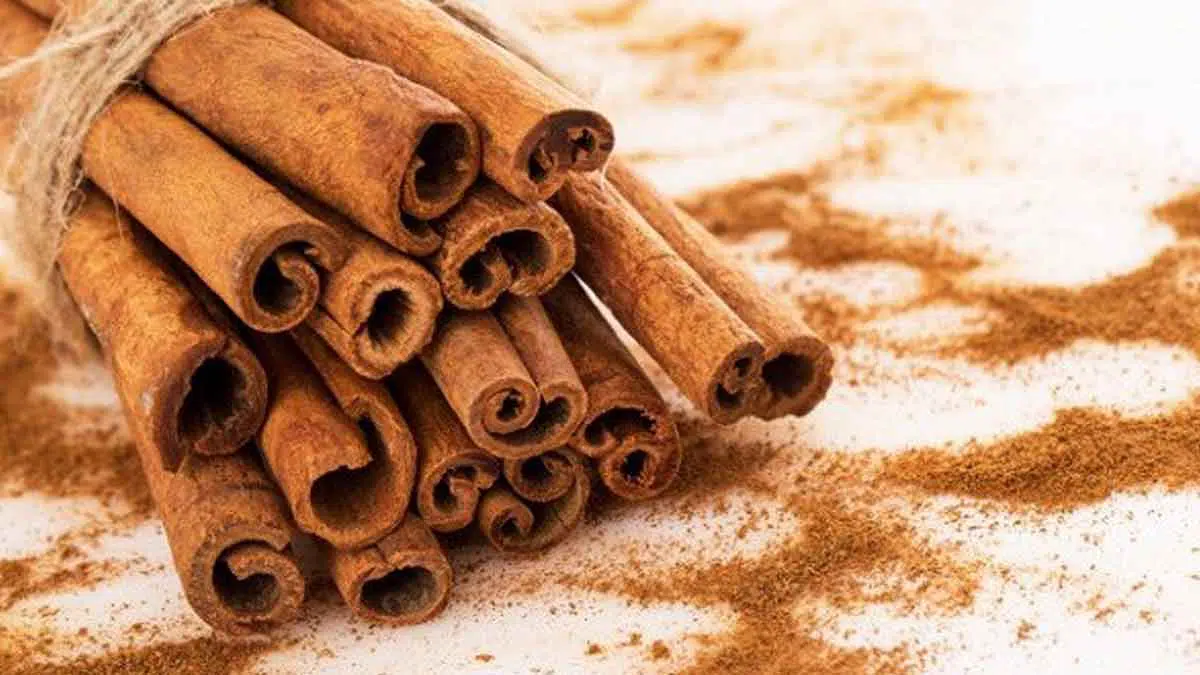 Rempah Kaya Aroma, Kayu Manis Simpan Banyak Manfaat Untuk Kesehatan