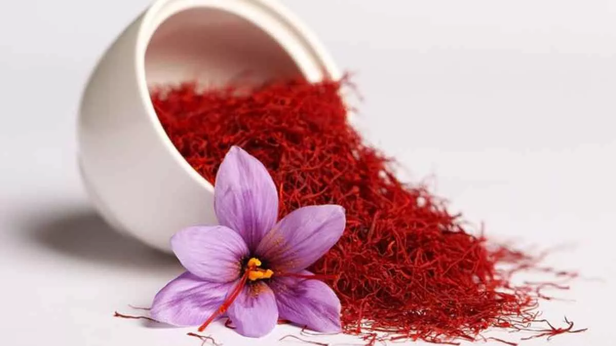 Saffron, Rempah Termahal Di Dunia Yang Simpan Banyak Manfaat Untuk Tubuh