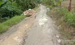 Lelang, Mega Proyek Betonisasi Jalan Dua Desa di Sampang Tembus Rp 10 Miliar