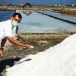 2021, Produk Garam Pamekasan Ditarget Hingga 60 Ribu Ton