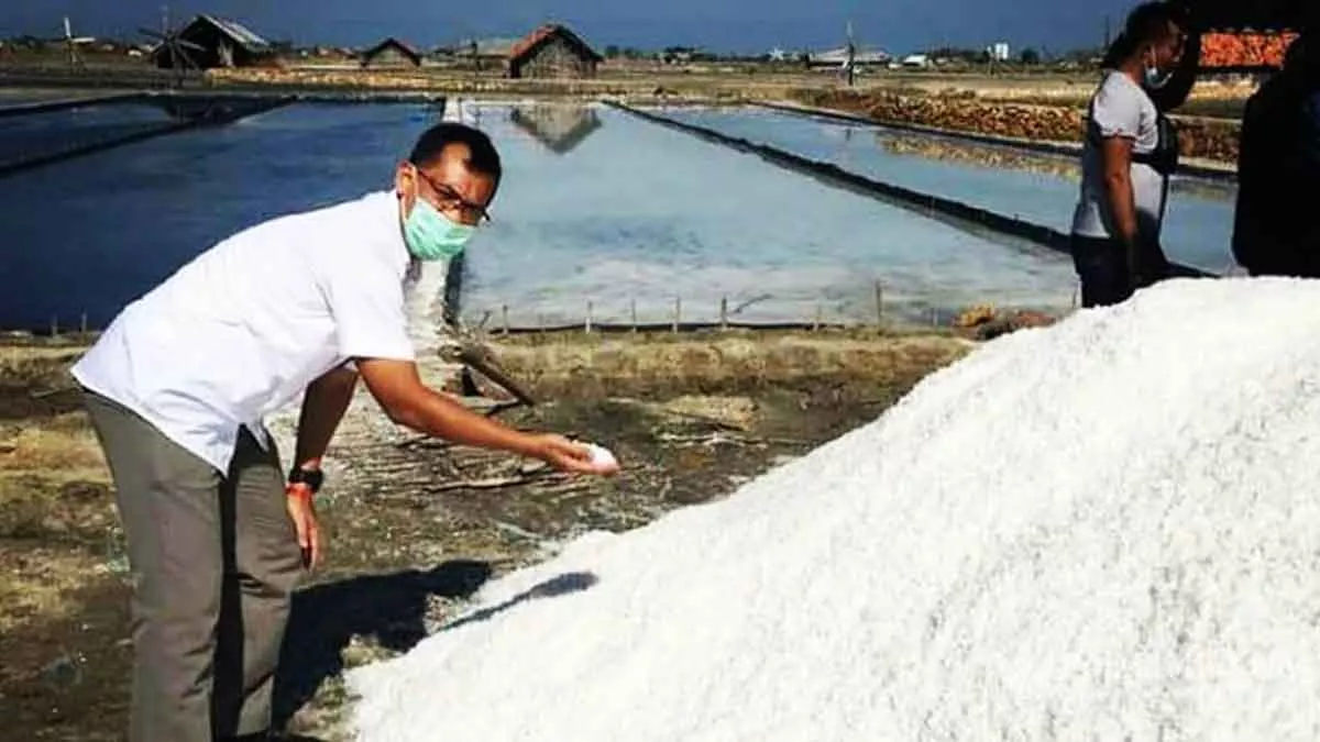 2021, Produk Garam Pamekasan Ditarget Hingga 60 Ribu Ton
