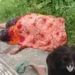 Buru Pembunuh Janda, Polres Sampang Bentuk Tim Gabungan Lintas Kabupaten