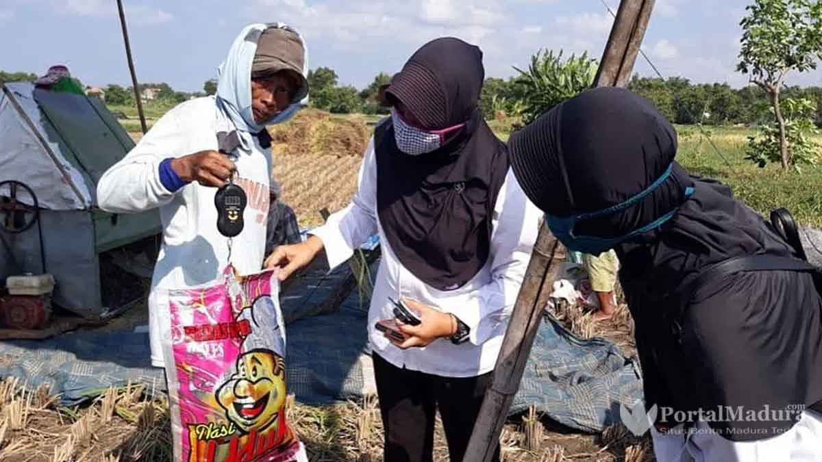 Pamekasan Kekurangan Penyuluh Pertanian