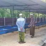 Mondokkan Anak Sekaligus Titipkan Sapinya