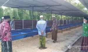 Mondokkan Anaknya Sekaligus Titipkan Sapinya