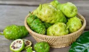 Guys, Ini 5 Khasiat Buah Mengkudu untuk Kecantikan