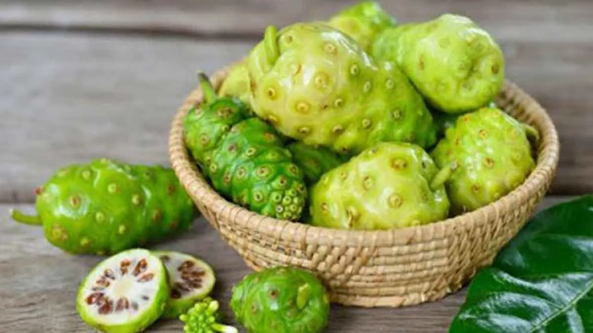 Guys, Ini 5 Khasiat Buah Mengkudu untuk Kecantikan