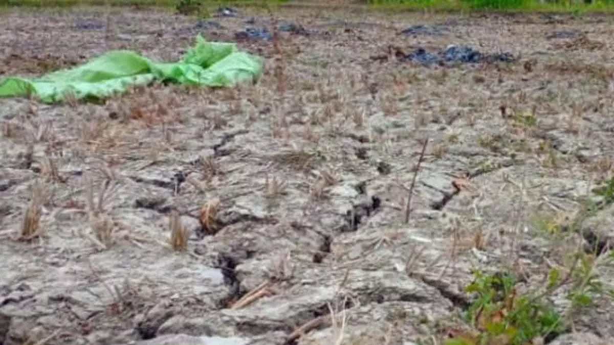 Bencana Kekeringan Sumenep Diprediksi Terjadi Hingga September 2021