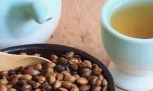 Dibalik Rasanya Yang Sedikit Pahit, Teh Barley Simpan Banyak Manfaat Untuk Kesehatan Tubuh
