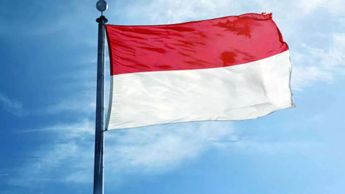 Indonesia Tekankan Solidaritas G20 Hadapi Pandemi Covid-19