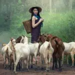 Ingin Jadi Peternak Milenial yang Sukses? Yuk Intip 7 Caranya