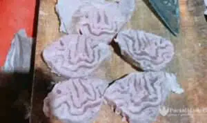 Irisan Daging Sapi Berlafaz Allah Ditemukan Warga Juruan Daya Sumenep
