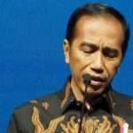 Jokowi Minta Pelaku Usaha di Pertokoan dan Mal Selalu Gunakan Masker