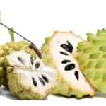 Kaya Akan Nutrisi, Buah Srikaya Baik Untuk Kesehatan