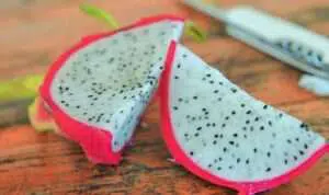 Kenali Manfaat Buah Naga Putih Yang Baik Untuk Kesetan
