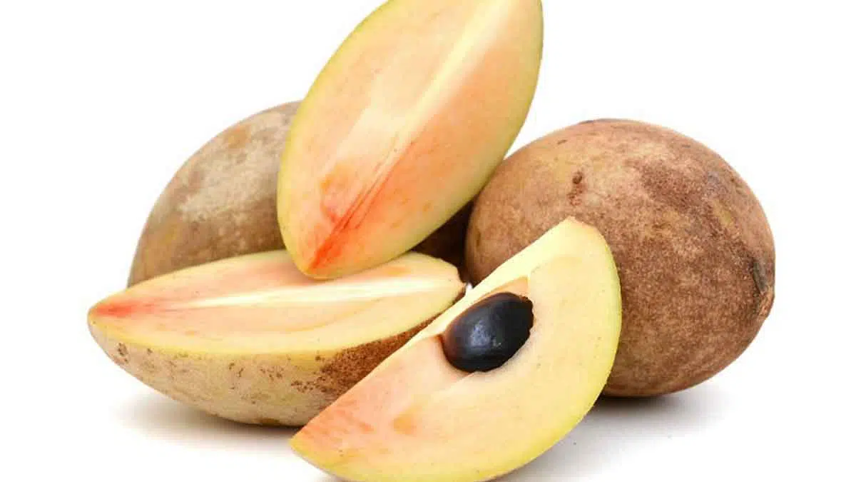 Manfaat Buah Sawo Untuk Ibu Hamil