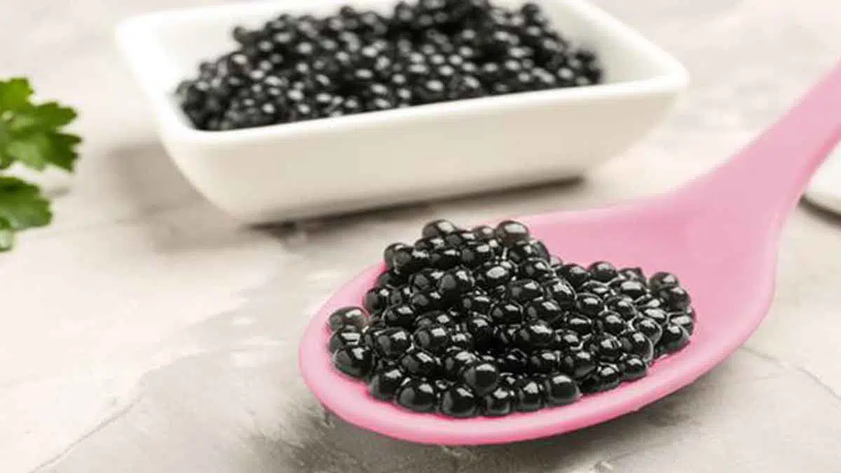 Menilik Manfaat Caviar Makanan Mahal yang Baik Untuk Tubuh