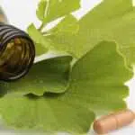 Menilik Manfaat Ginkgo Biloba Yang Baik Untuk Kesehatan