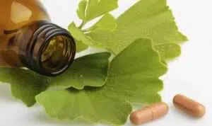 Menilik Manfaat Ginkgo Biloba Yang Baik Untuk Kesehatan