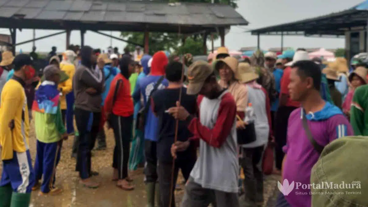 Tak Terima Pekerja Perempuan Diberhentikan, Buruh PT Garam (Persero) Demo Kantor Pegaraman 1 Sumenep