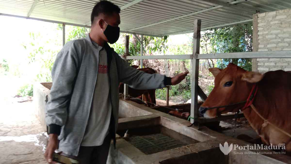 Jelang Lebaran, Pemkab Pamekasan Cek Kesehatan Hewan