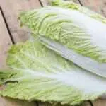 Sayur Rendah Kalori, Sawi Putih Baik Untuk Kesehatan
