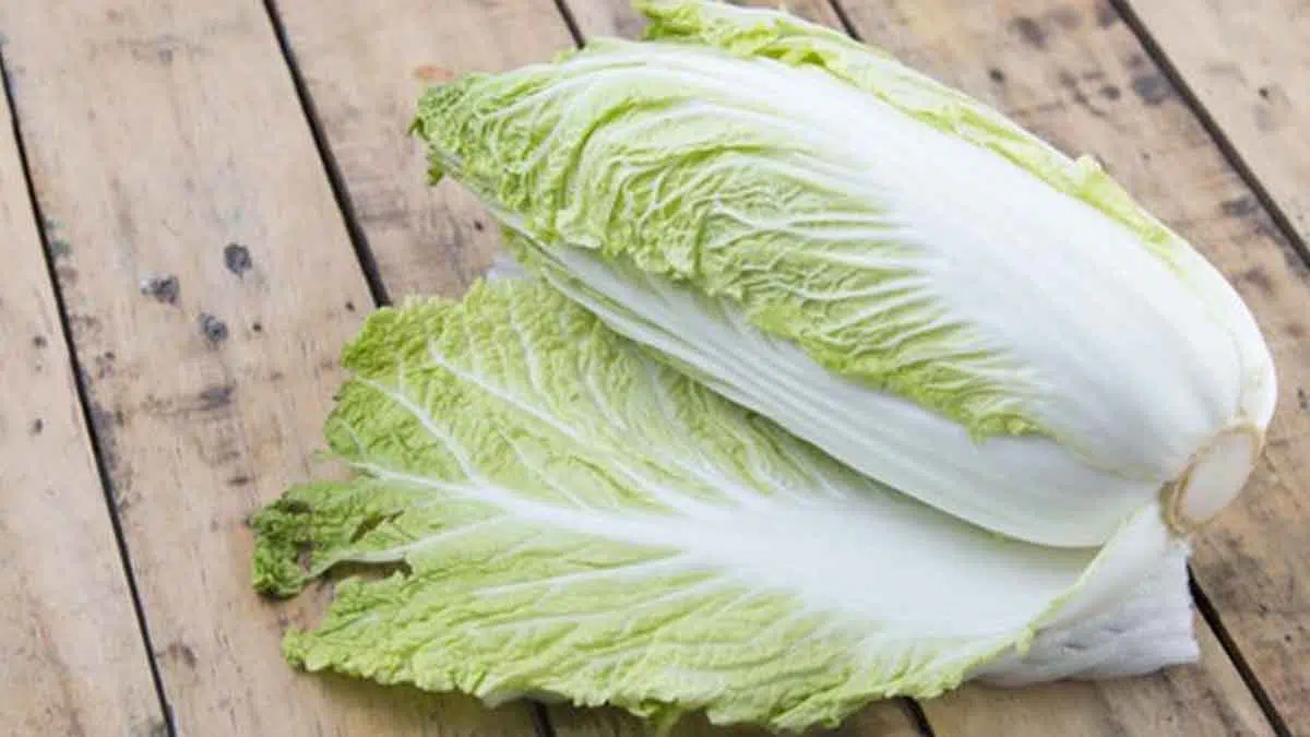 Sayur Rendah Kalori, Sawi Putih Baik Untuk Kesehatan