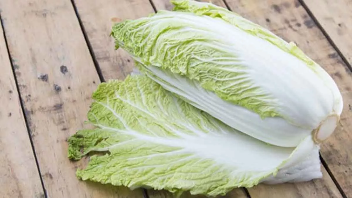 Sayur Rendah Kalori, Sawi Putih Baik Untuk Kesehatan