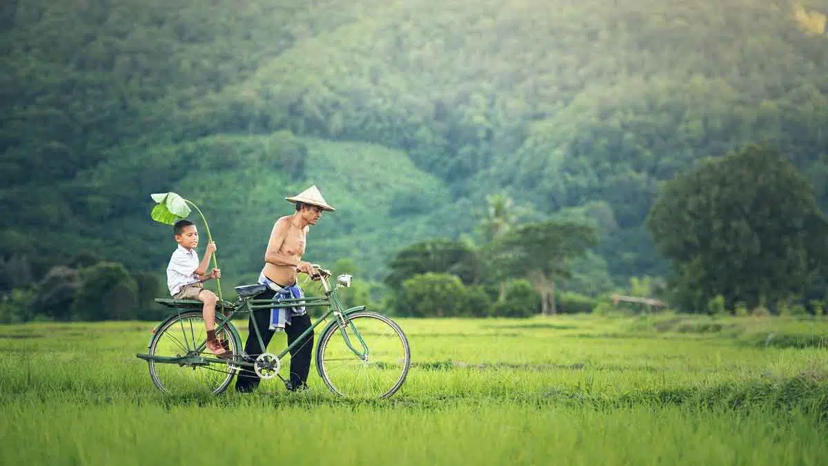 Suami-Istri-Bercerai,-Siapa-yang-Wajib-Menafkahi-Anak