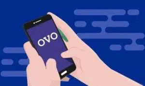 Ini Daftar Biaya Top Up OVO