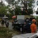 Angin Kencang, Tiga Pohon Tumbang Melintang Jalan Raya Sampang