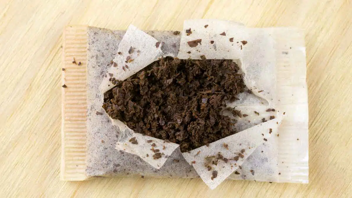 Jangan Dibuang, Ampas Teh Simpan Banyak Manfaat Untuk Kesehatan