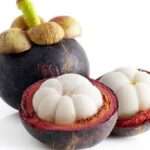 3 Manfaat Buah Manggis Bagi Kesehatan