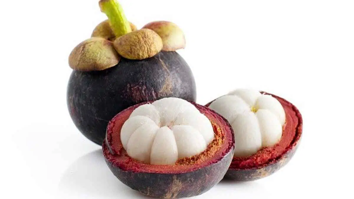 3 Manfaat Buah Manggis Bagi Kesehatan