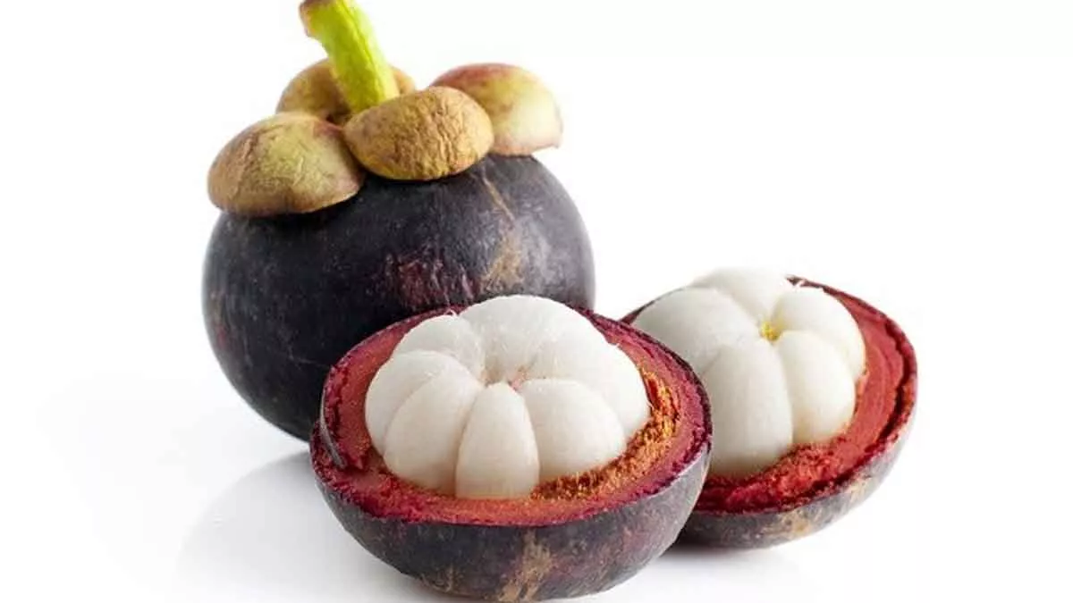 3 Manfaat Buah Manggis Bagi Kesehatan