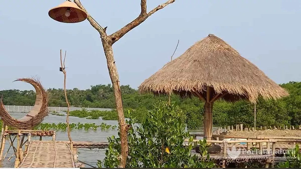 Indahnya Wisata Mangrove Kedatim Sumenep - Portalmadura.com Indahnya Wisata Mangrove Kedatim Sumenep