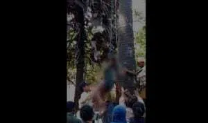 Kakek-Tua-di-Sumenep,-Ditemukan-Meninggal-Dunia-di-Atas-Pohon-Siwalan 