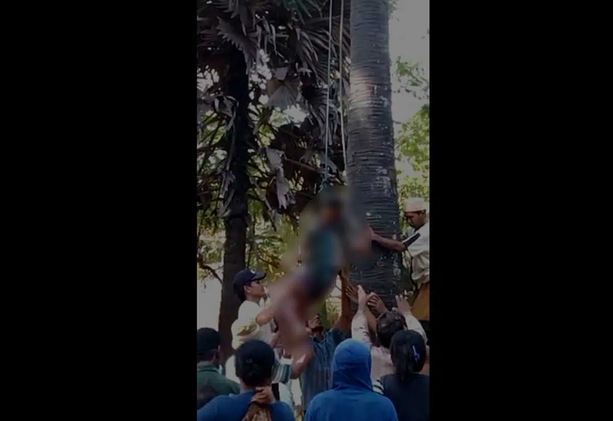 Kakek-Tua-di-Sumenep,-Ditemukan-Meninggal-Dunia-di-Atas-Pohon-Siwalan 