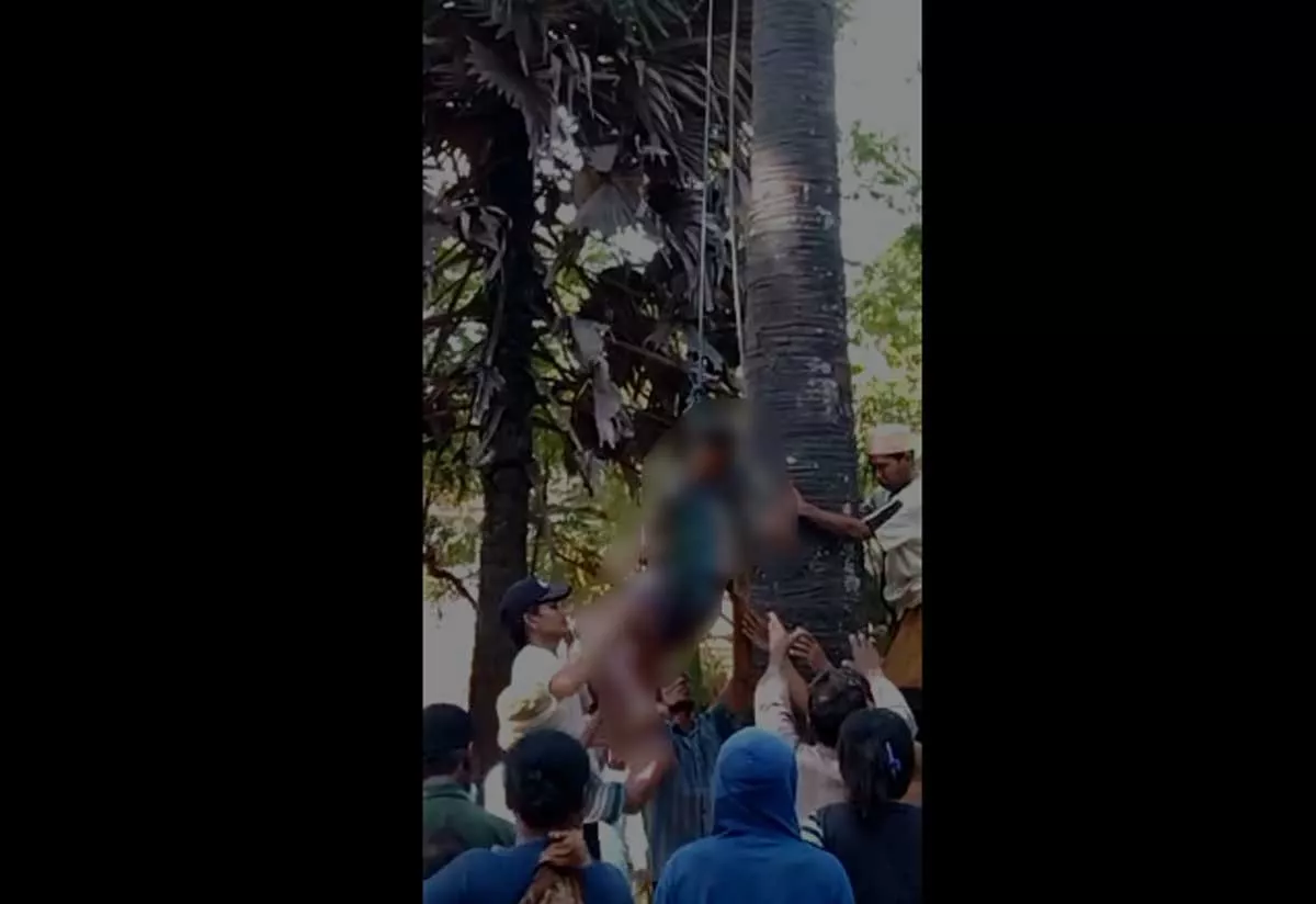 Kakek-Tua-di-Sumenep,-Ditemukan-Meninggal-Dunia-di-Atas-Pohon-Siwalan 