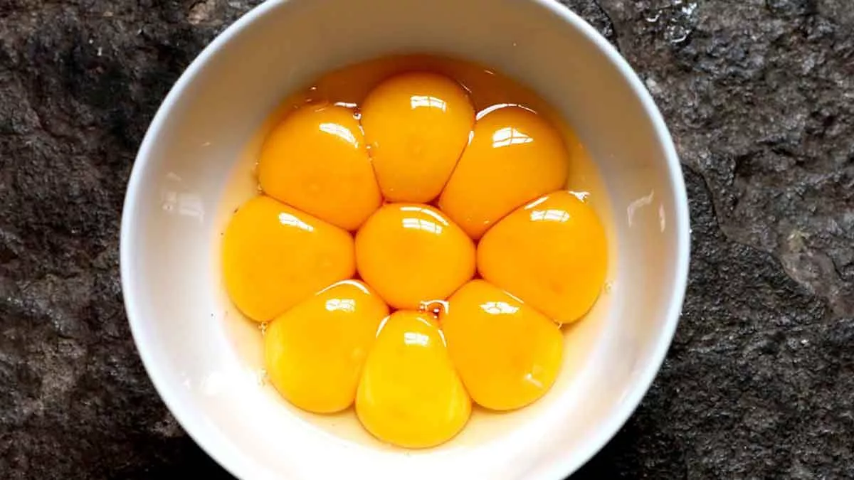 Manfaat Kuning Telur untuk Kesehatan Tubuh