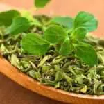 Ketahui 6 Manfaat Oregano Bagi Kesehatan Tubuh