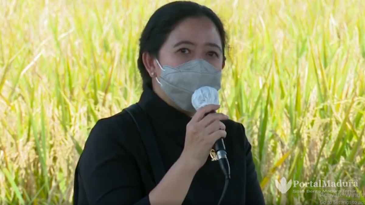 Puan Maharani