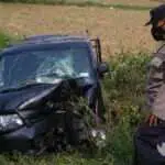 Pikap Hantam Pohon dan Terperosok ke Sawah