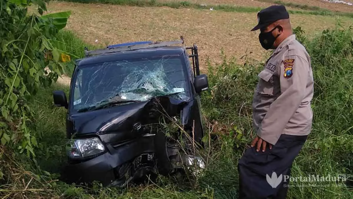 Pikap Hantam Pohon dan Terperosok ke Sawah