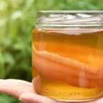 Teh Kombucha Yang Simpan Banyak Manfaat Untuk Kesehatan