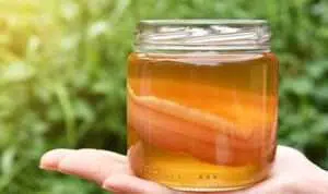 Teh Kombucha Yang Simpan Banyak Manfaat Untuk Kesehatan