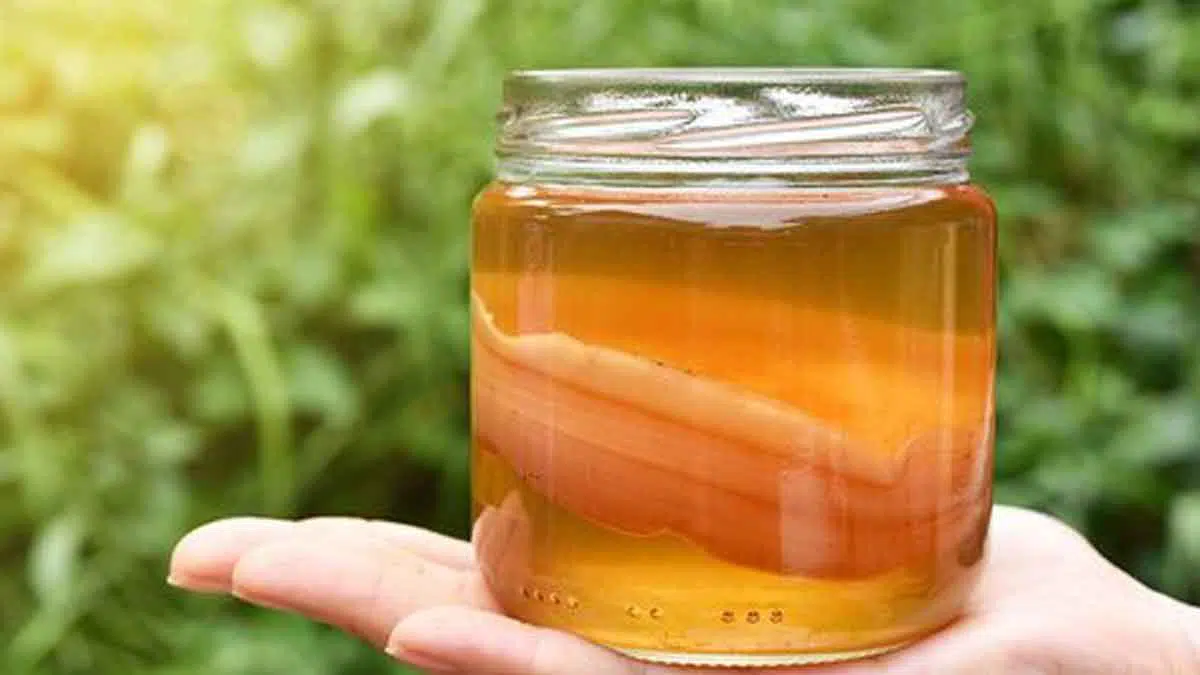 Teh Kombucha Yang Simpan Banyak Manfaat Untuk Kesehatan